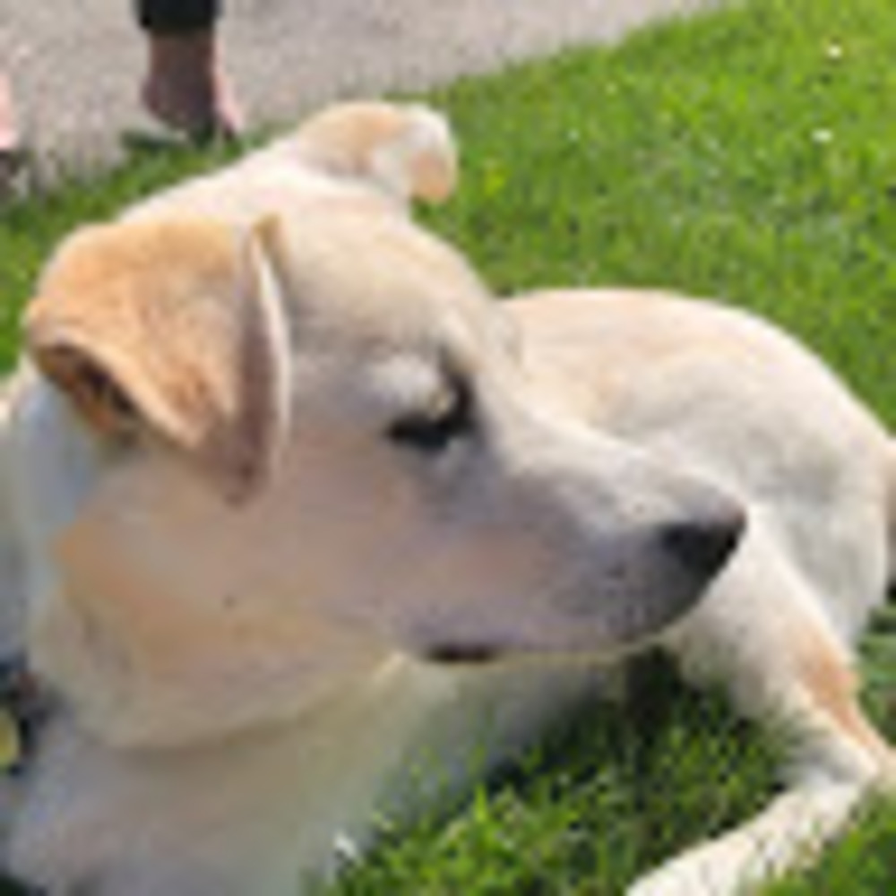 Meet your Posher, Chloe